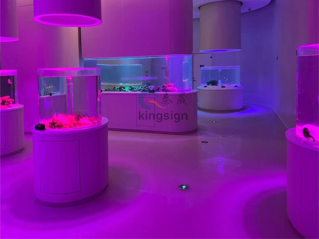 Những lợi thế của bể cá acrylic là gì