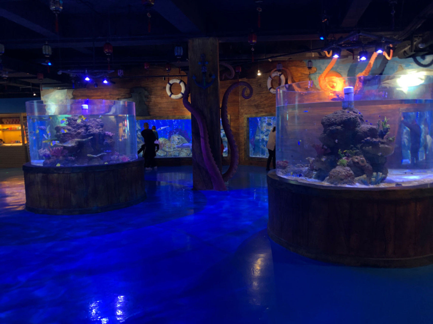 Giới thiệu hệ thống hỗ trợ cuộc sống của bể cá acrylic