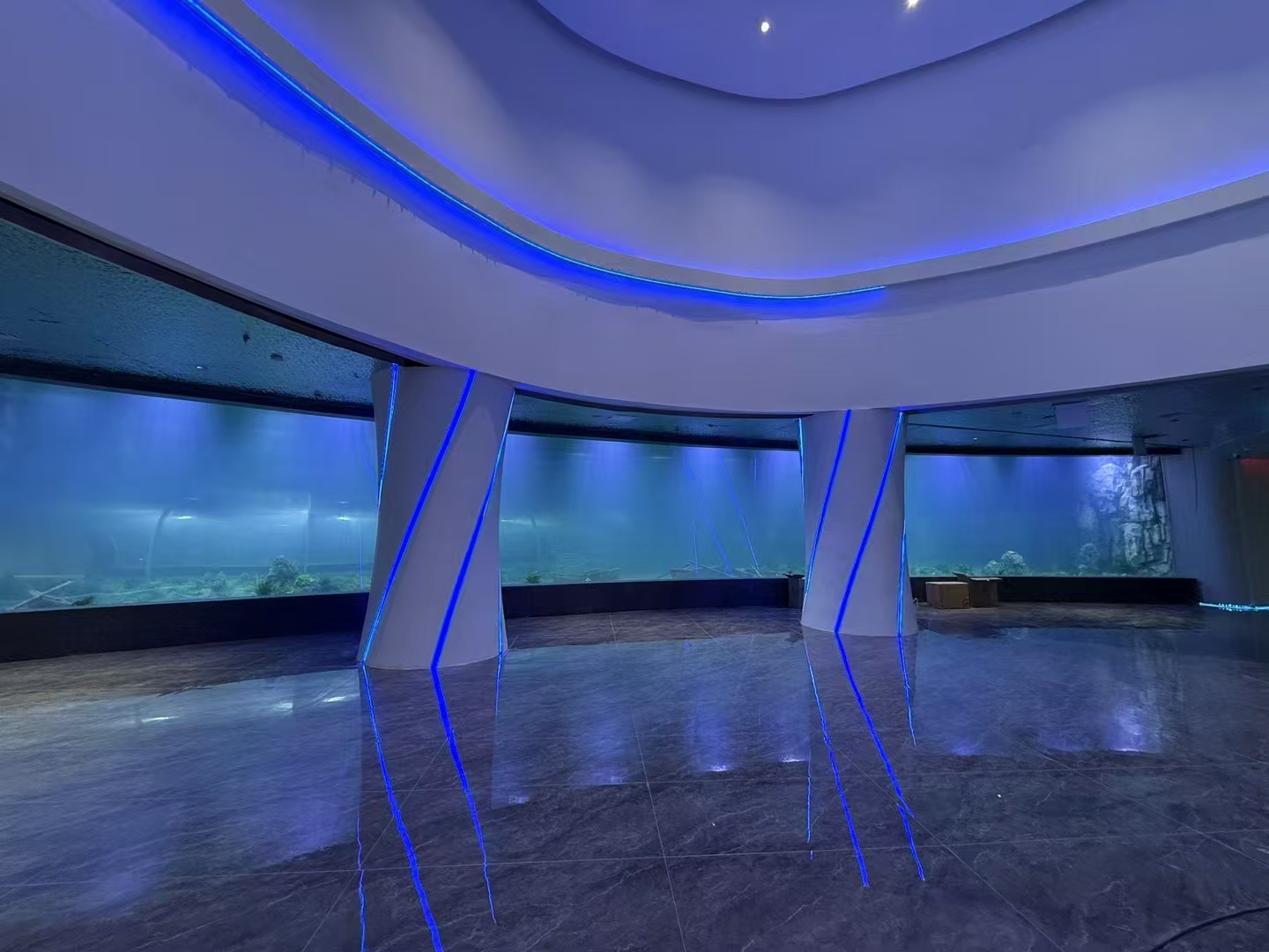 Những lợi thế của tấm acrylic trong cửa sổ thủy cung lớn là gì?